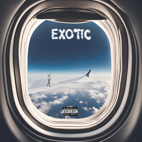 EXOTIC
