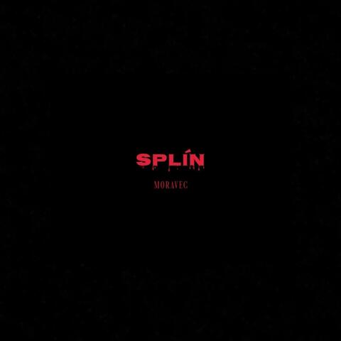 Splín