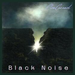 Black Noise