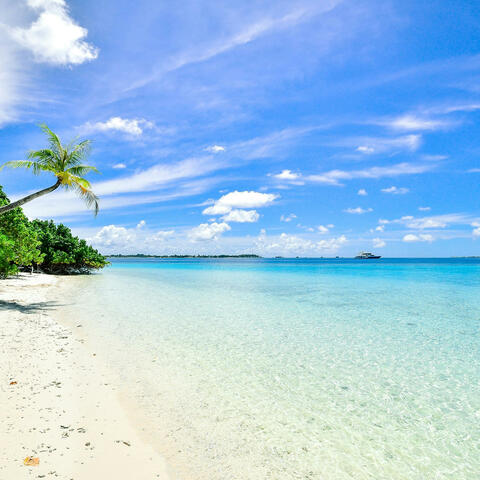 beach one