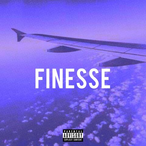 Finesse