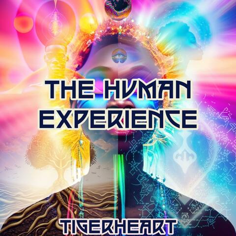 The Human Experience