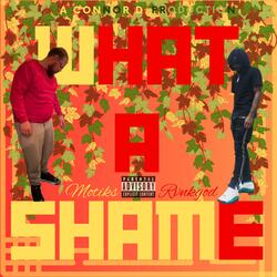 What a Shame (feat. RvnkGod)