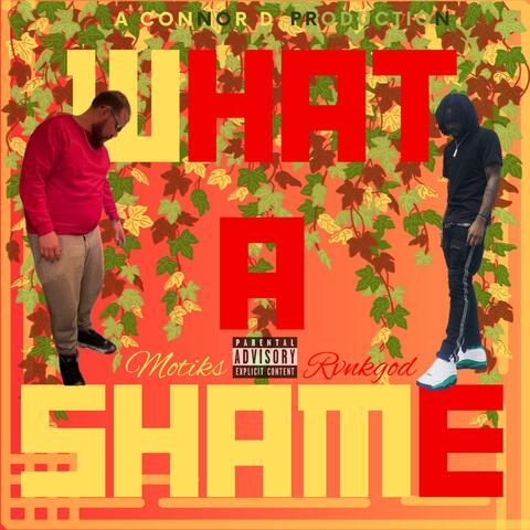 What a Shame (feat. RvnkGod)