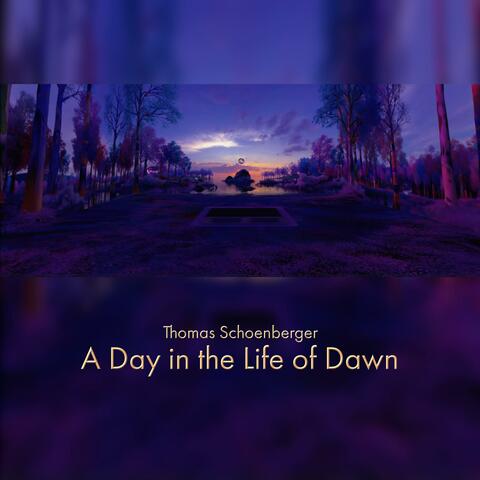 A Day in the Life of Dawn