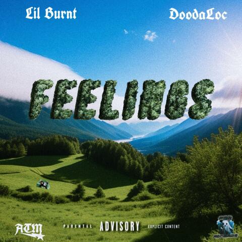 Feelings (feat. DoodaLoc)