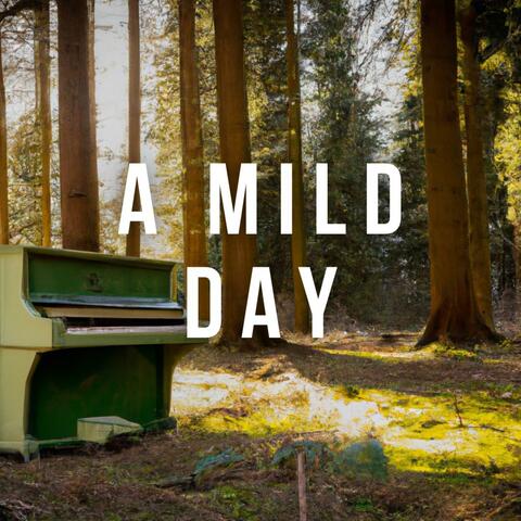 A Mild Day
