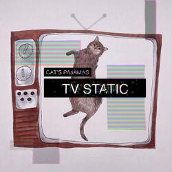 TV Static