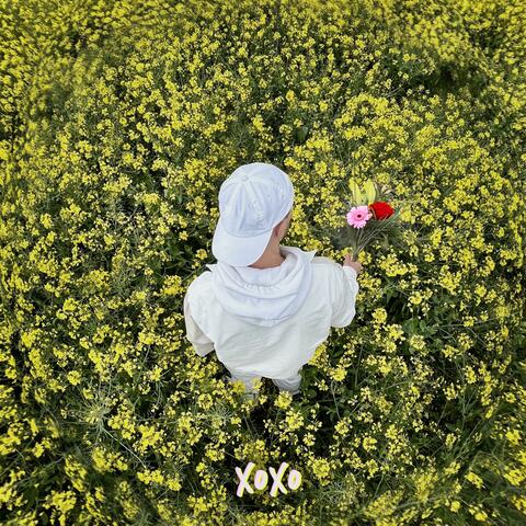 XOXO