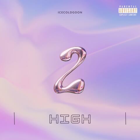 2 High (feat. Organic)