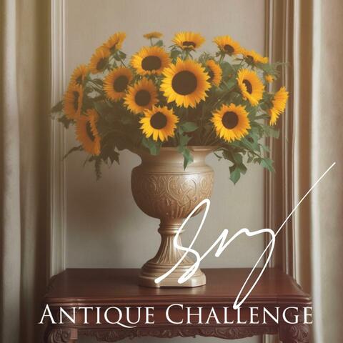 Antique Challenge