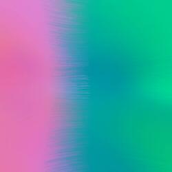 Vibrant Shift