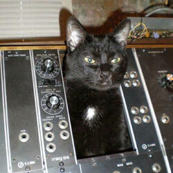 Minor Harmonic Chaos