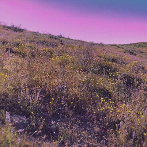 Mingling With the Flowers