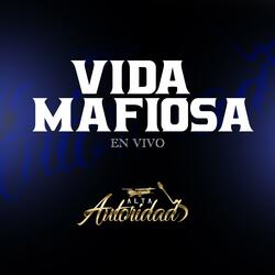 Vida Mafiosa (Con Accordeon)