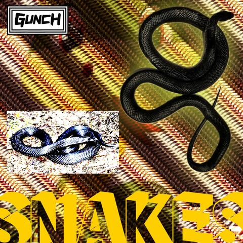 Snakes