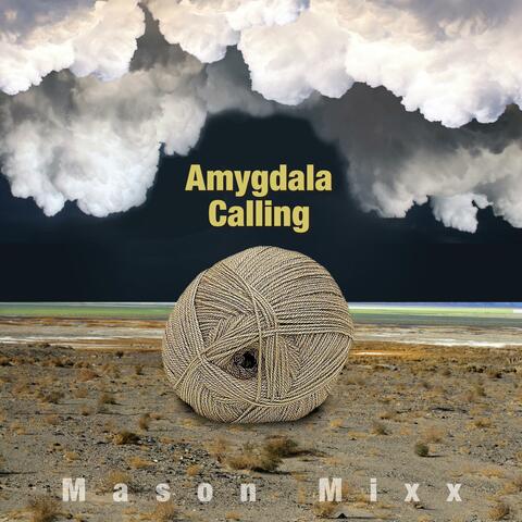 Amygdala Calling
