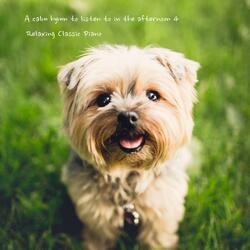 The Lord is Risen Indeed