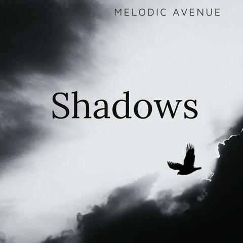 Shadows