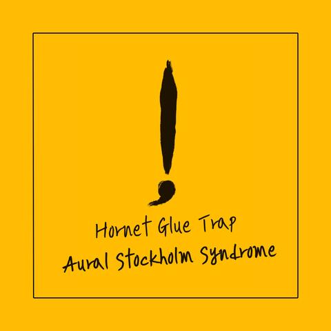 Hornet Glue Trap