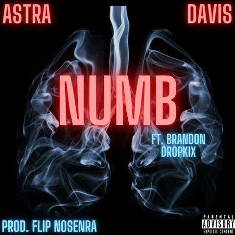 NUMB (feat. Brandon Dropkix)