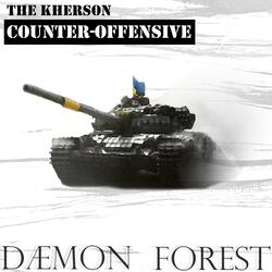 The Kherson Counter-Offensive