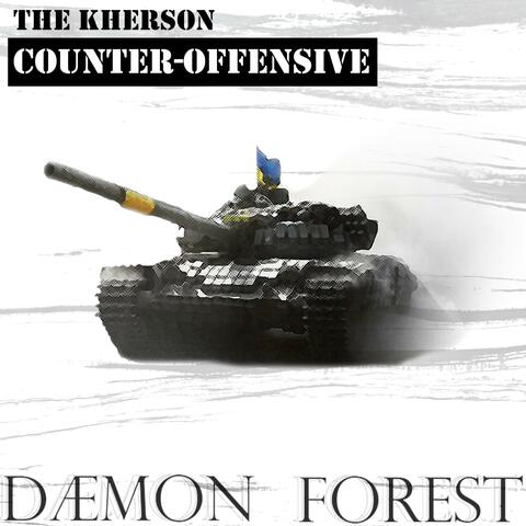 The Kherson Counter-Offensive