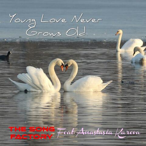 Young Love Never Grows Old