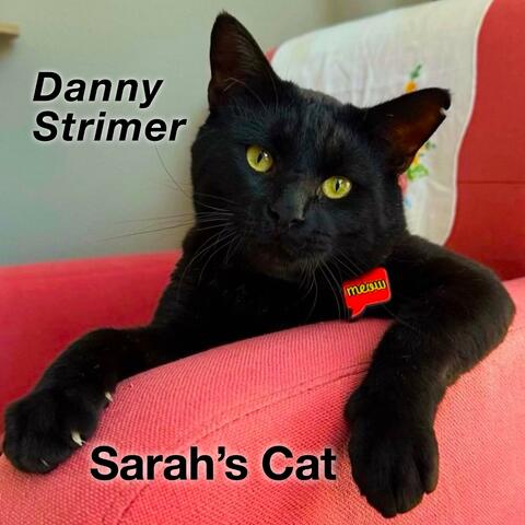 Sarah's Cat