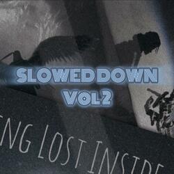Shadows Of Beauty SLOWED DOWN