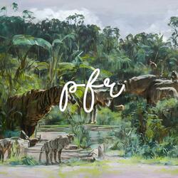 Relaxing Water In The Wild