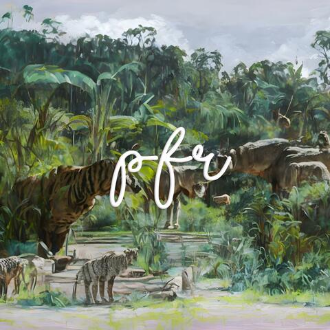 The New Era of Higlife Wildlife