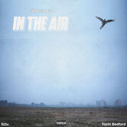 In the air (feat. St3V OR STUNNA & Tochi Bedford)