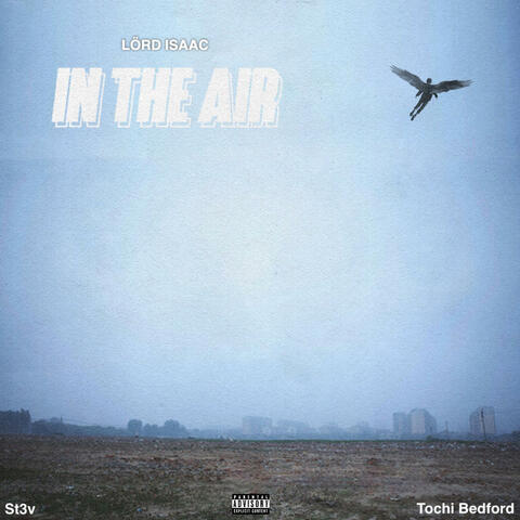 In the air (feat. St3V OR STUNNA & Tochi Bedford)
