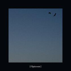 Opticosm