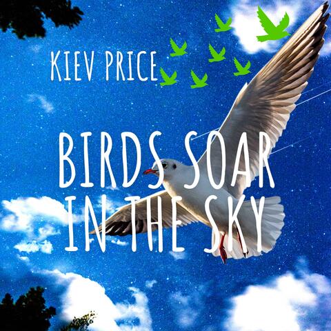 Birds soar in the sky