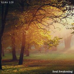 Soul Awakening (feat. Sensory Meditation, Nina Nalo, Jasper Whisper, Flame Timo & Randy Divine)