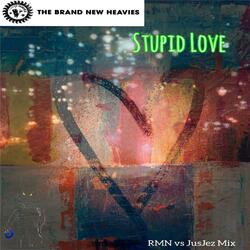 Stupid Love