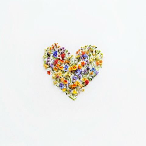 hole in my heart
