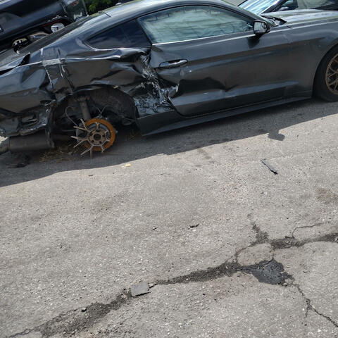 A Great Catastrophe¿
