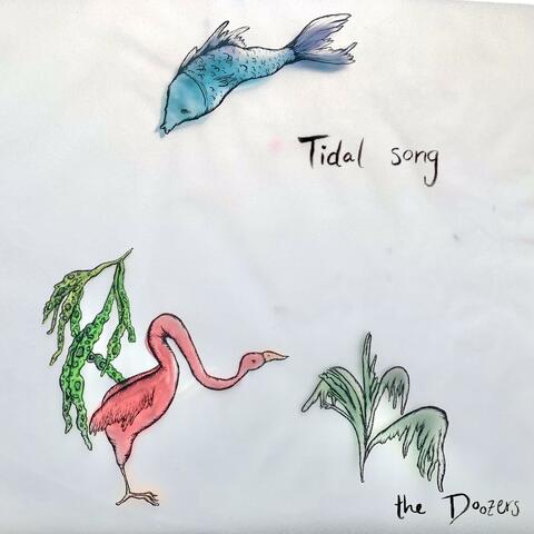 Tidal song