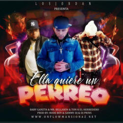 Ella Quiere un Perreo