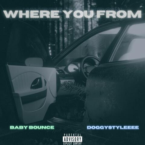 Where You From (feat. Doggystyleeee)