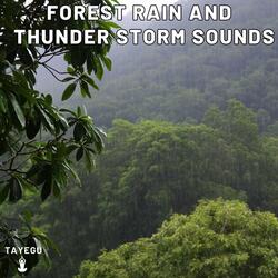 Forest Rain and Thunder Storm Sounds Crow Bird 1 Hour Relaxing Nature Ambient Yoga Meditation Sounds For Sleeping Relaxation or Studying