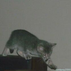 andican'tputitintoaboxbecauseitisn'tsomethingicanhold