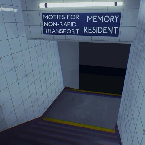 Motifs For Non-Rapid Transport