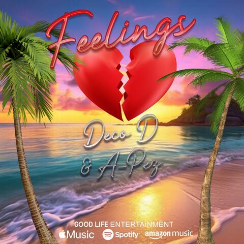 Feelings