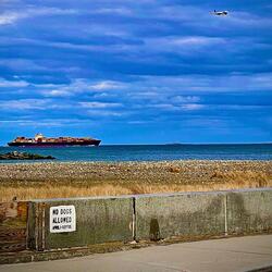 near miss