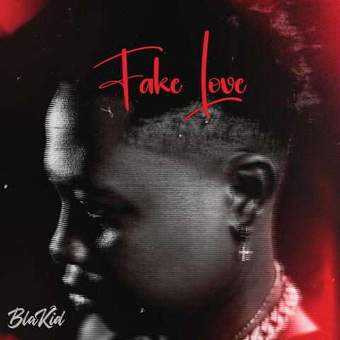 Fake Love