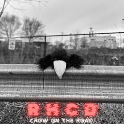 Crow On The Road